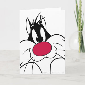 Carte Face de nez rouge SYLVESTER™