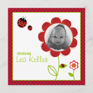 Carte faire-part de naissance Ladybug