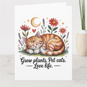 Carte Faire pousser des plantes que les chats adorent La