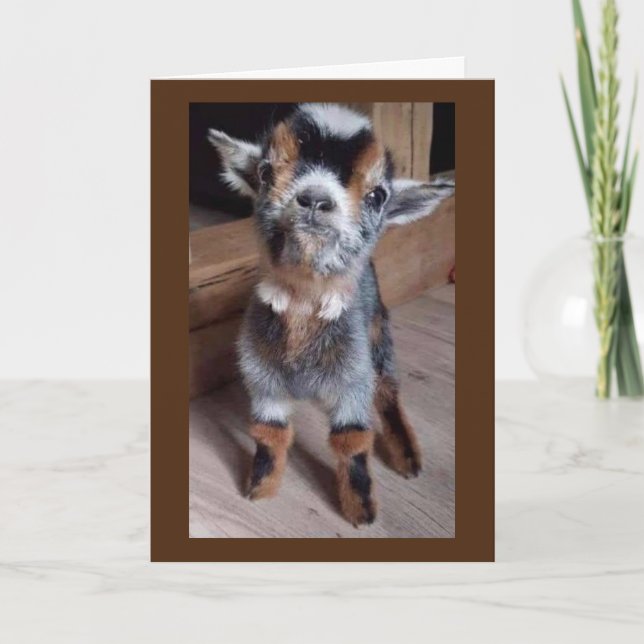 Carte FAIS DE BÉBÉ UNE FAVEUR "AVEZ UN JOLI 30e ANNIVERS (Devant)