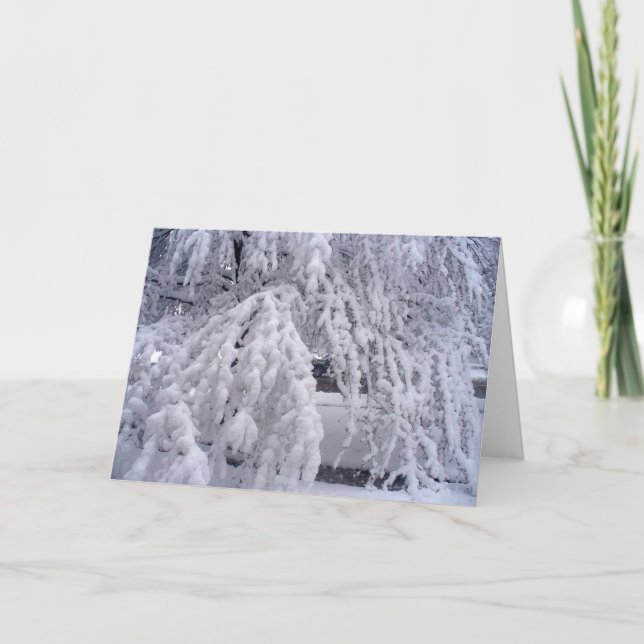 Carte Fais tomber la neige (Devant)