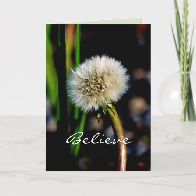 Carte Faites un voeu, croyez, Dandelion, Blank Inside (Devant)