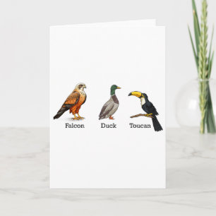Carte Falcon Canard Toucan Oiseaux Subtil Anti Trump