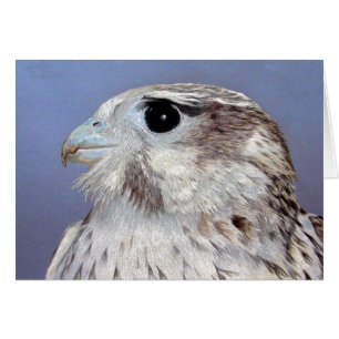 Carte Falcon des Prairies