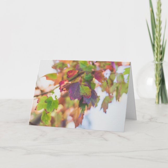 Carte Fall Leaves Card (Devant)