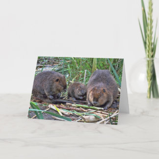Carte Famille Beaver