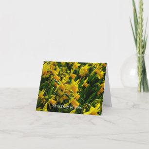 Carte Famille De Daffodils Qui Pensent À Vous
