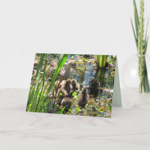 Carte Famille de Kamichis - Maman et poussins - Fête des