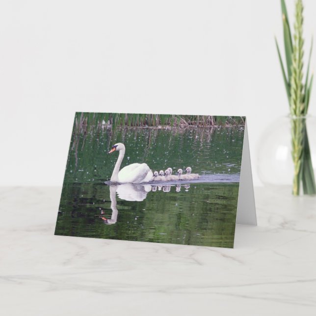 Carte Famille De Swans (Devant)