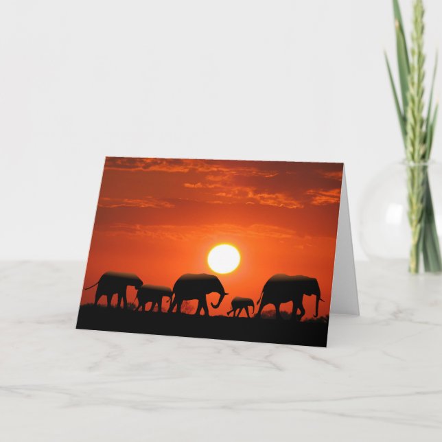 Carte Famille d'éléphant (Devant)