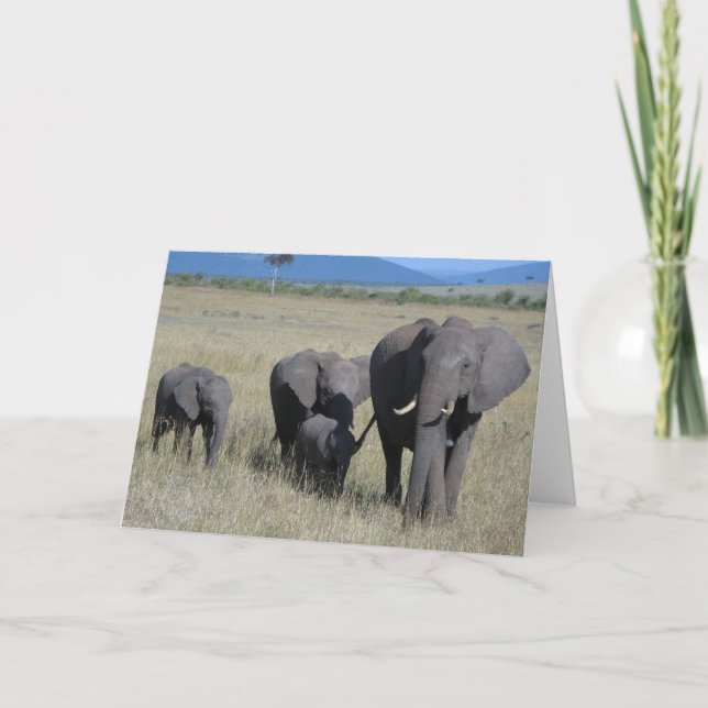 Carte Famille des éléphants (Devant)