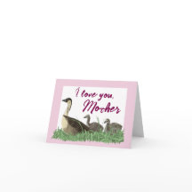 Famille d'oies Nene hawaïennes pour la fête des mè