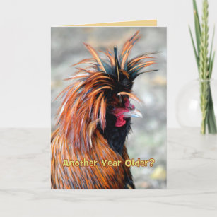 Cartes Coq D Anniversaire Zazzle Fr