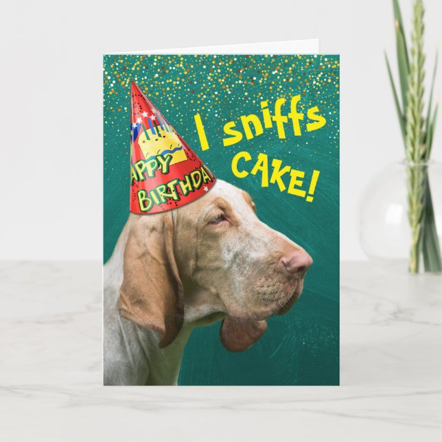 Carte Fantaisie Anniversaire Hound Casquette de la fête  (Devant)