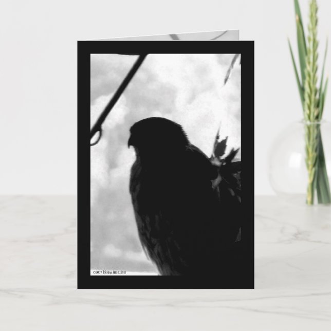 Carte Faucon d'ombre (Devant)