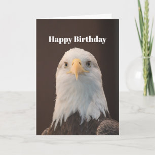 Carte Faune Bald Eagle Portrait Photo Anniversaire