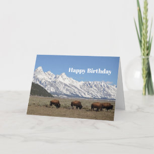 Carte Faune Bison Mountains Photo Neige Anniversaire