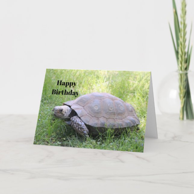 Carte Faune Brown Tortoise Photo Anniversaire (Devant)