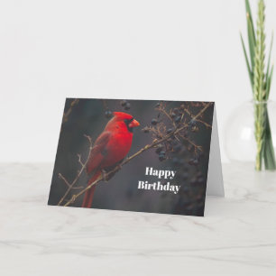 Carte Faune Cardinal Rouge Anniversaire