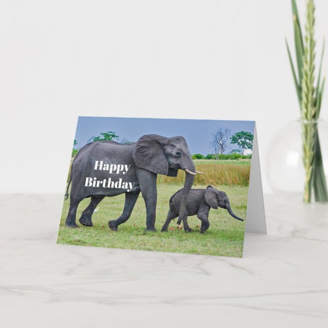 Carte Faune Elephant Calf Photo Anniversaire (Devant)