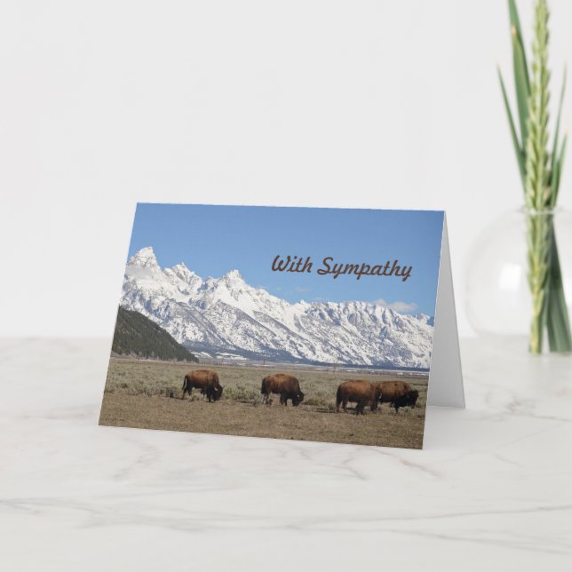Carte Faune Monts Bison Neige Photo Sympathie (Devant)