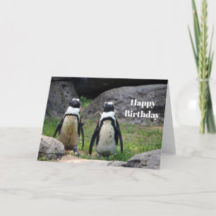 Carte Faune Pingouin Pair photo Anniversaire