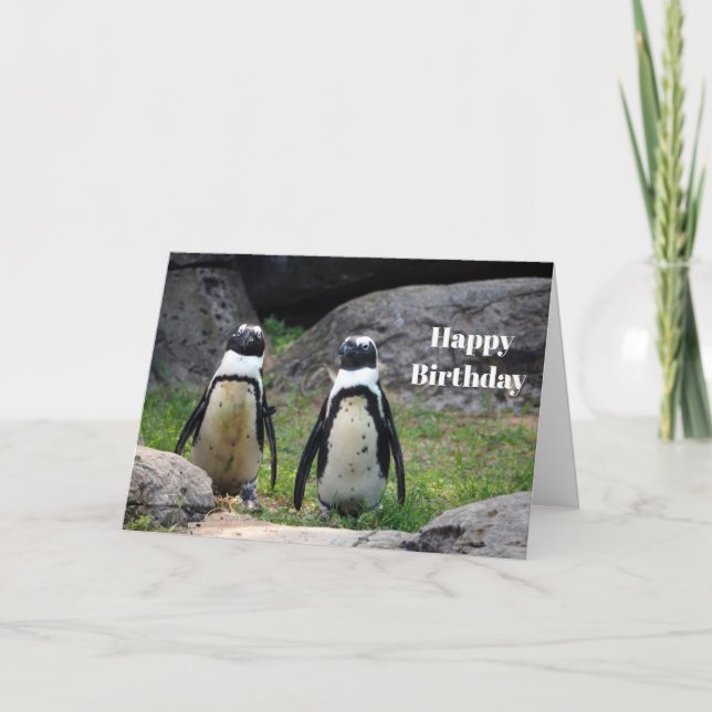 Carte Faune Pingouin Pair photo Anniversaire (Devant)