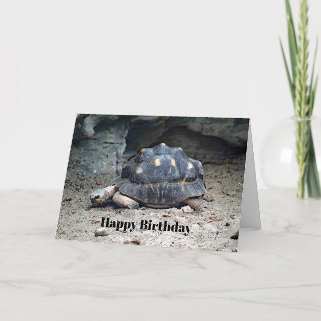 Carte Faune Tortoise Reptile Photo Anniversaire (Devant)