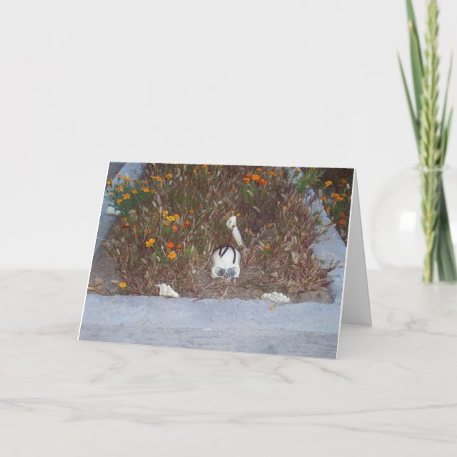 Carte Faux Squelette à Marigolds Photo de décoration (Devant)