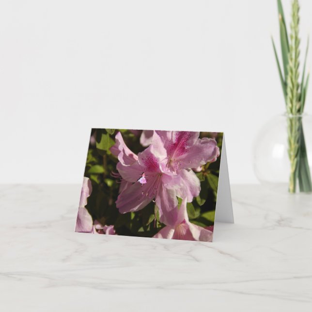 Carte Fée rose Azalia (Devant)