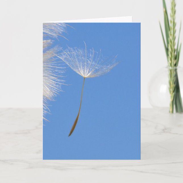 Carte Feel free - flying dandelion seed in blue sky (Devant)