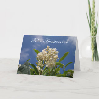 Carte Felice Anniversario - anniversaire heureux