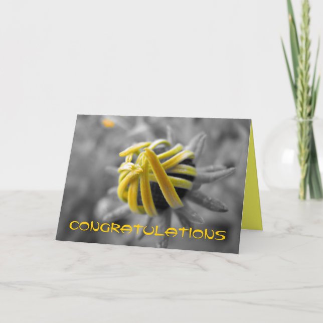 Carte Félicitations (Devant)