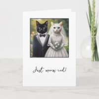 Félicitations à la mariée de chat et à la chambre