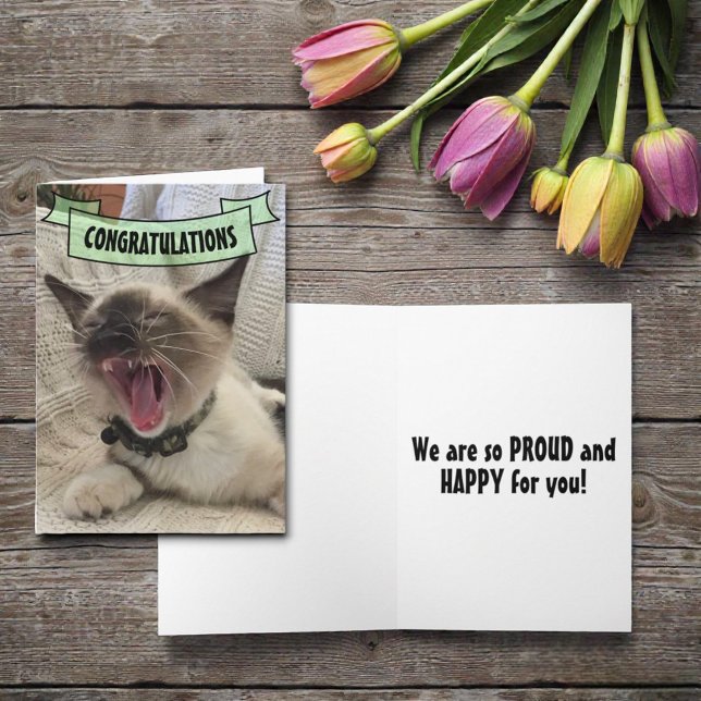 Carte Félicitations à tous de crier Siamese Kitten Photo (Funny cat cover template greeting card. )