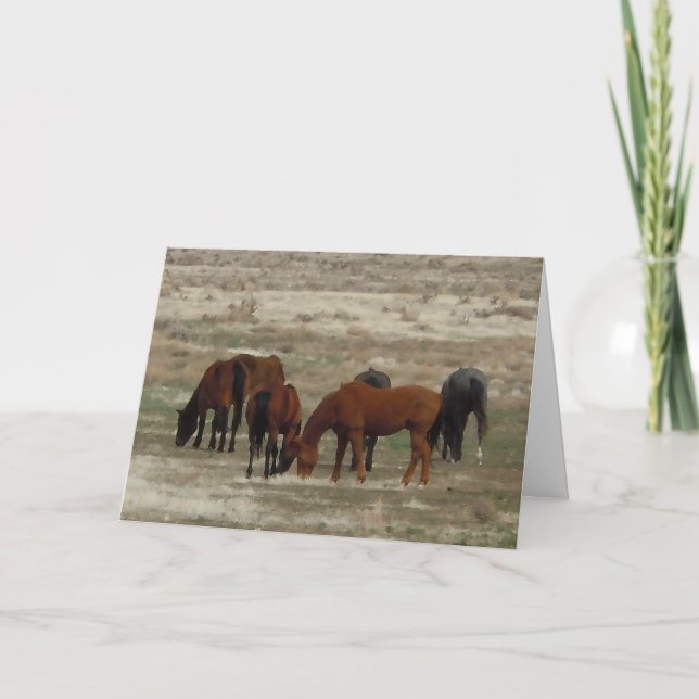 Carte Félicitations au nouveau diplômé - Ranch ou Farm D (Devant)