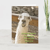 Félicitations Braces Off Llama Card