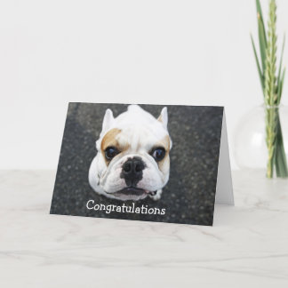 Carte Félicitations Bulldog Greeting Card