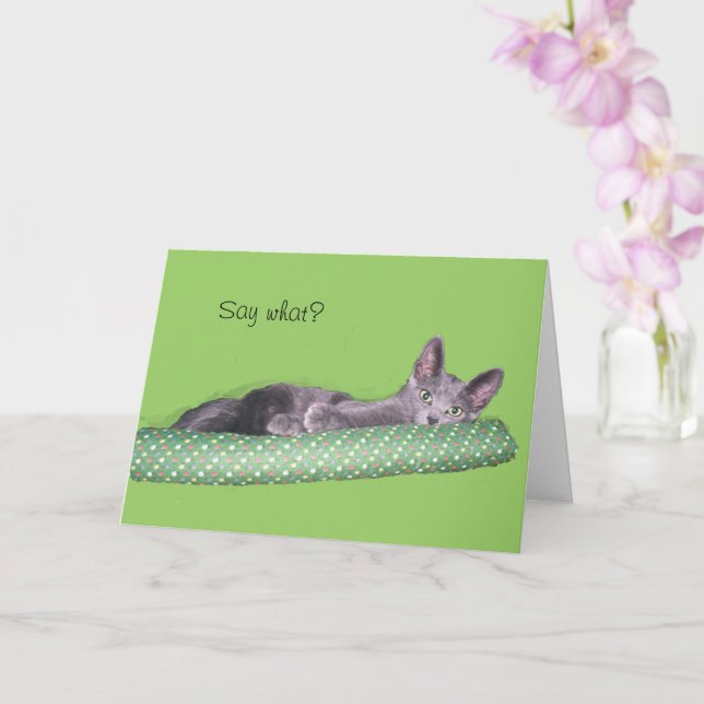 Carte - Félicitations - Chat gris (Orchidée)