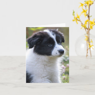 Carte Félicitations Cute Puppy