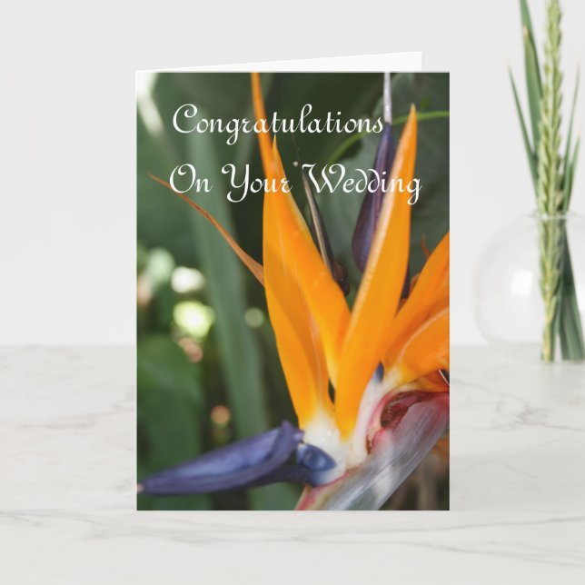 Carte Félicitations de mariage oiseau de paradis (Devant)