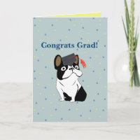 Félicitations diplômé Bulldog français