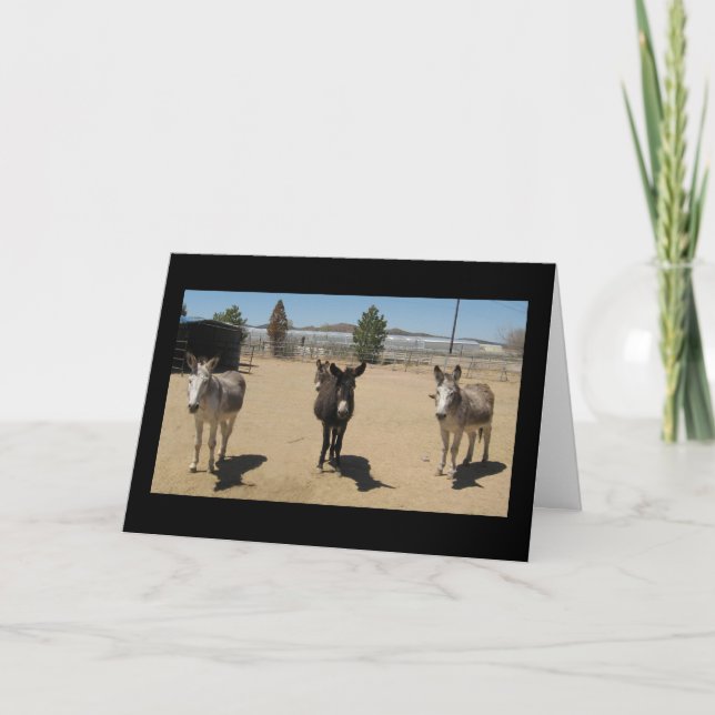 Carte Félicitations Diplômé vétérinaire - Ferme de ranch (Devant)