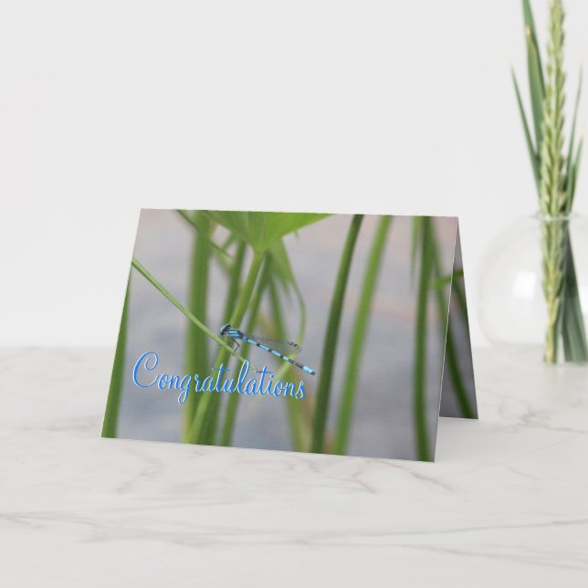 Carte Félicitations Dragonfly (Devant)
