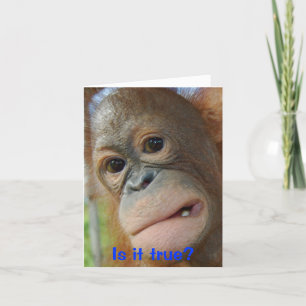 Carte Félicitations drôles d'obtention du diplôme de