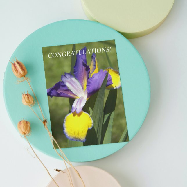 Carte Félicitations florales Iris violet et jaune (In Situ)
