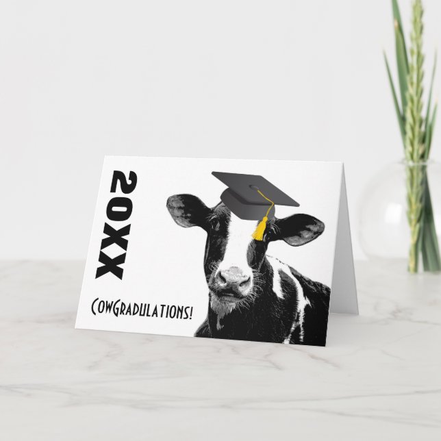 Carte Félicitations Graduation Funny Cow en Casquette (Devant)