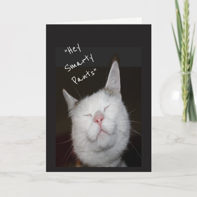 Carte Félicitations Graduation Humour Kitten Animal (Devant)