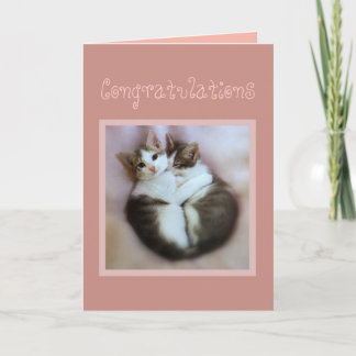 Carte Félicitations Kittens en amour