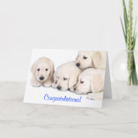 Félicitations Labrador Retriever Puppies Card